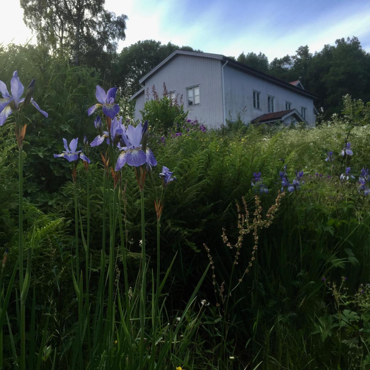 Sagverket Hoega Kusten Rö 외부 사진